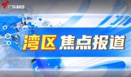 顺德热点爆料新闻视频,最新爆料新闻视频回顾